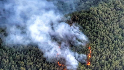 İzmir'de orman yangını (06 Haziran 2022)