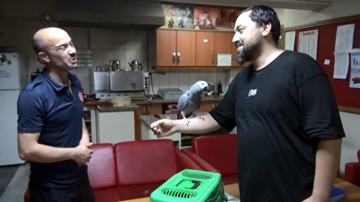 Kafesinden kaçan ‘Şükrü’yü itfaiye yakalayıp sahibine teslim etti