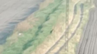 Yetkililer görüntülerde tarla var dedi. Vatandaş 6 kaçak gördü. Vatandaşın kamerası, yer Reyhanlı