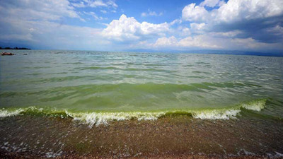 İznik Gölü böyle yeşile büründü. Göle girmek yasaklandı