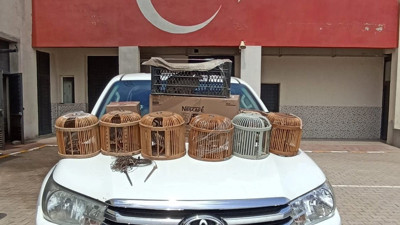 Kafes avcılığı yapan şahsa operasyon