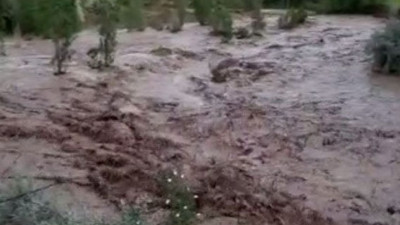 3 bin 600 dönüm tarım arazisi selden zarar gördü