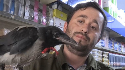 Karga 'Hüsnü' köy halkının maskotu oldu. Bir de kırmızı kurdele taktılar