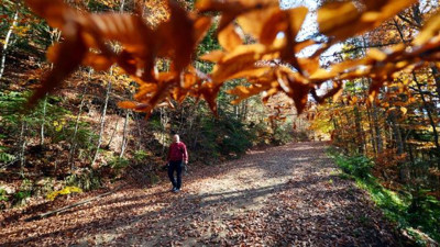 Karabük'te ormanlara giriş yasağı