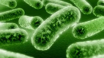 Evdeki en pis eşya hangisi?