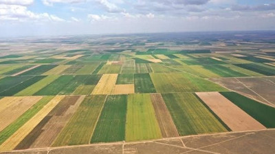 Gaziantep Şehitkamil’de icradan satılık tarım arazisi