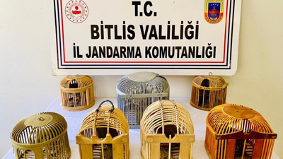 Keklik avcılarına 15 bin lira ceza uygulandı