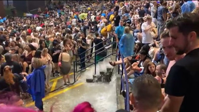 Ünlü şarkıcı Halsey'in konserini sel aldı, sahneyi kemirgenler bastı