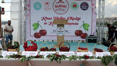Tekirdağ'ın 'en güzel kirazı' seçildi