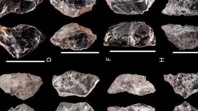 Tamı tamına 65.000 yaşında! İsviçre çakısının atası tarihe dair ilginç veriler sundu