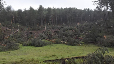 Fırtına hayatı felç etti. Yüzlerce ağaç devrildi, iletişim hatları zarar gördü