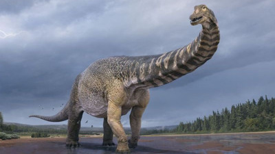 Avrupa'nın en büyük dinozor fosili bulundu