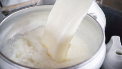 Süt ve süt ürünleri kanser riskini artırabilir mi?