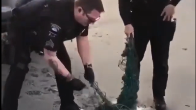 İyilik yapıp denize attılar: Yaşasın iyi insanlar