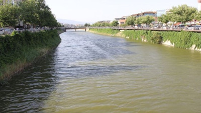 Asi Nehri'nde alarm: Balıklar ölüyor