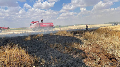 Bir sigara izmariti koca tarlayı alevlere teslim etti