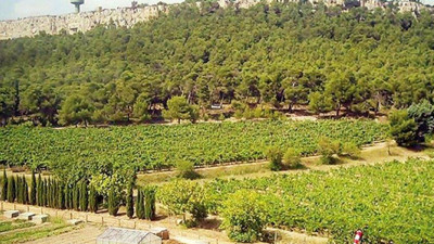 AOÇ'nin bayilik vermesinde ihale şartı kaldırıldı