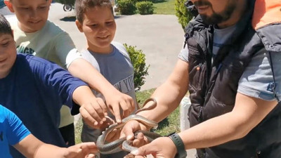 Yılan terbiyecisi ağaçta yakaladı. Çocuklara yılanı sevdirdi