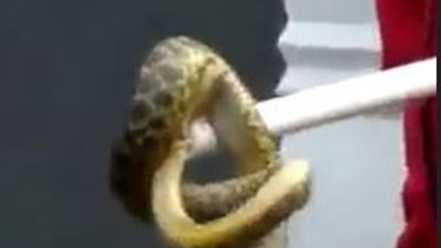 Kendi yaptığı aparatla aracına giren yılanı yakaladı