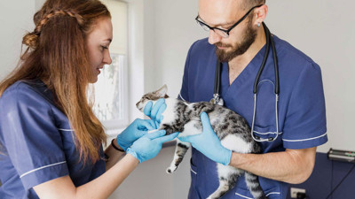 Zonguldak Çaybel personel alacak (18 Haziran 2022)