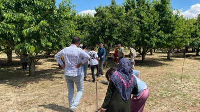 Kiraz bahçesini halka açtı