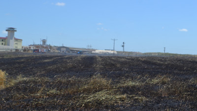 Sigara izmariti 50 dönüm buğday tarlasını 10 dakikada küle çevirdi