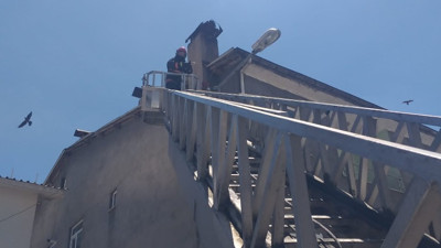 Çatıdaki ipe asılı kalan karga kurtarıldı