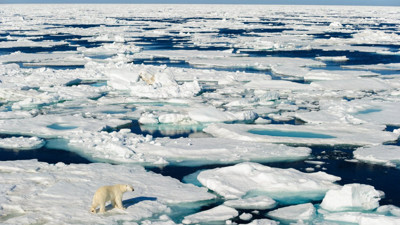 Kuzey Kutbu'nun ortalamadan yedi kat fazla ısındığı ortaya çıktı