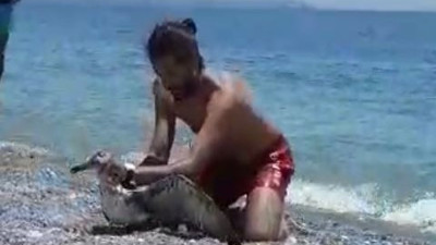 Hayalet ağa takılan martıya hayat kurtaran müdahale