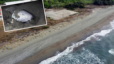 Caretta carettalara dronlu takip