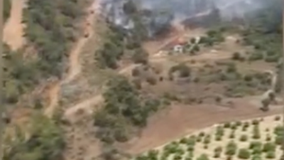 Muğla'da orman yangını