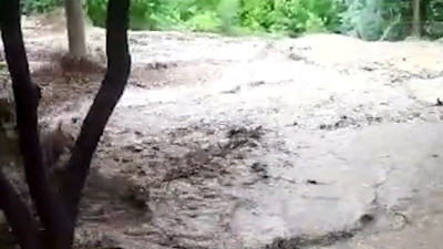 Sağanak sele döndü, tarım arazileri sular altında kaldı