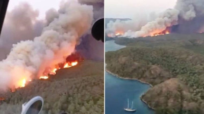 Prens Selman'ın gelişi öncesi bir anda koy dibindeki ormanlar yanmaya başladı