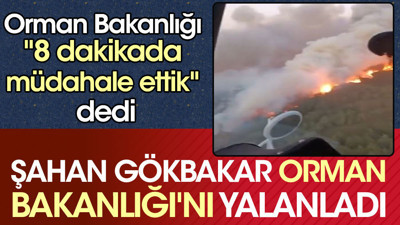 Orman Bakanlığı "8 dakikada müdahale ettik" dedi. Şahan Gökbakar Orman Bakanlığı'nı yalanladı