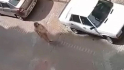 İzmit'te ilginç olay. Çırılçıplak bekleyen kadını görenler şaşkına döndü