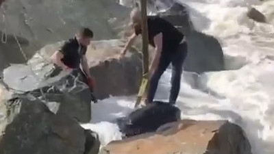 Kurban pazarından kaçtı denize düştü