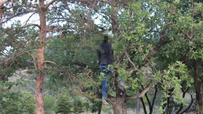 Piknik alanında kan donduran görüntü