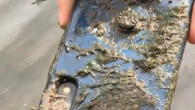 10 ay önce nehire düşmüştü | O telefon çalışıyor mu