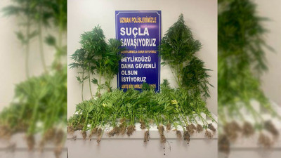 Beylikdüzü’nde uyuşturucu baskını. Evinin terasını seraya çevirmiş