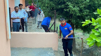 Osmaniye'de evde yılan paniği