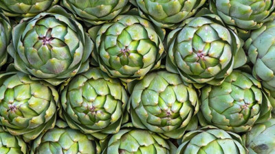 Hangi Tanrı'ya güç verdi. Enginarın hiçbir yerde okumadığınız efsane hikâyesi