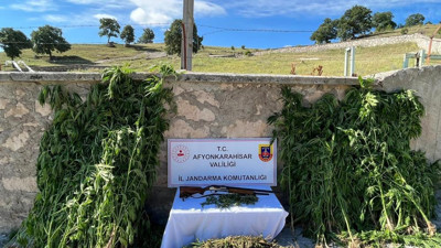 Köy evlerine uyuşturucu baskını