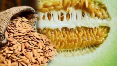 Bu yaz meyvesinin çekirdeğinin Faydaları saymakla bitmiyor