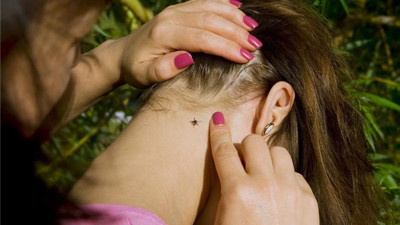 Uzmanından kurban bayramı için kene uyarısı