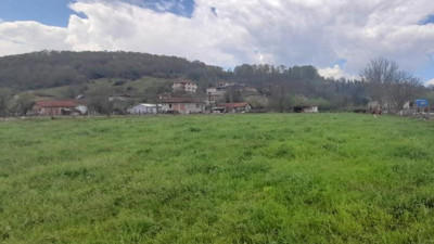 Sakarya Söğütlü’de icradan satılık tarla (01 Temmuz 2022)