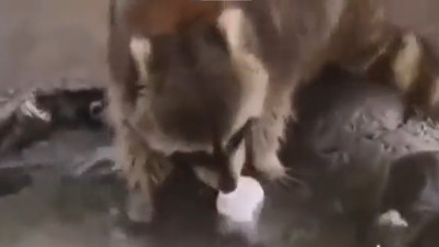 Asgari ücret düzenlemesini yeterli bulmayan birçok kişi sosyal medyada tepkisini dile getirdi. Vatandaşın asgari ücretle imtihanı mizaha konu oldu