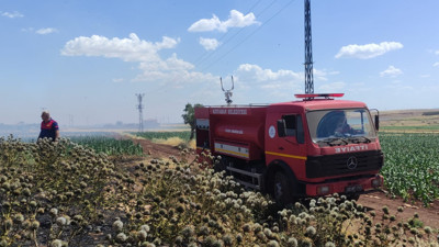 Adıyaman'da 50 dönümlük arazi alev aldı