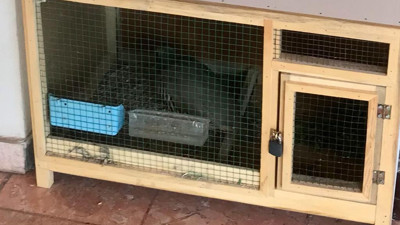 İl Özel İdaresi’nde devletin kekliklerine hapis