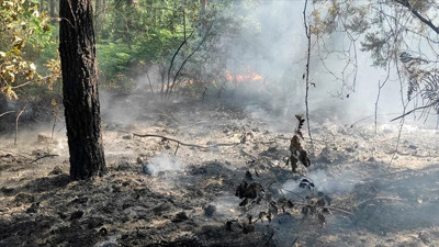 Valilikten sonra flaş karar: İstanbul'da orman yasağı