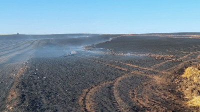 Buna yürek dayanmaz. Tekirdağ’da bin dönüm buğday tarlası yandı